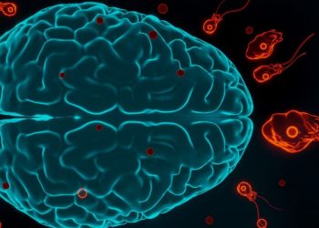 انگل‌ها، ناجیان جدید مغز