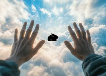 Pika 1.5: عکس‌هایتان را به ویدیوهای جذاب تبدیل کنید!