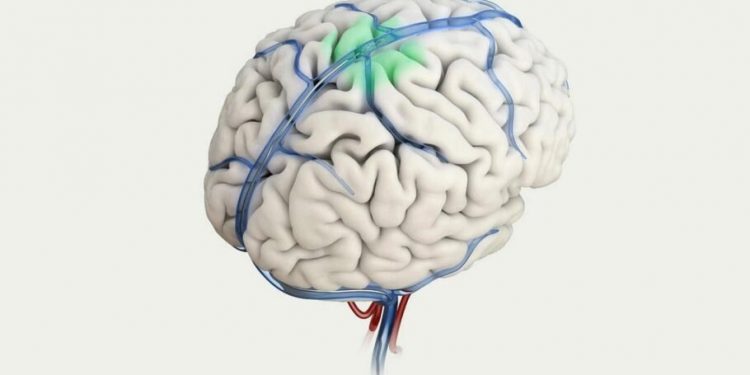 انقلاب در درمان بیماریهای مغزی: تراشه سنکرون در آزمایشها موفق عمل کرد